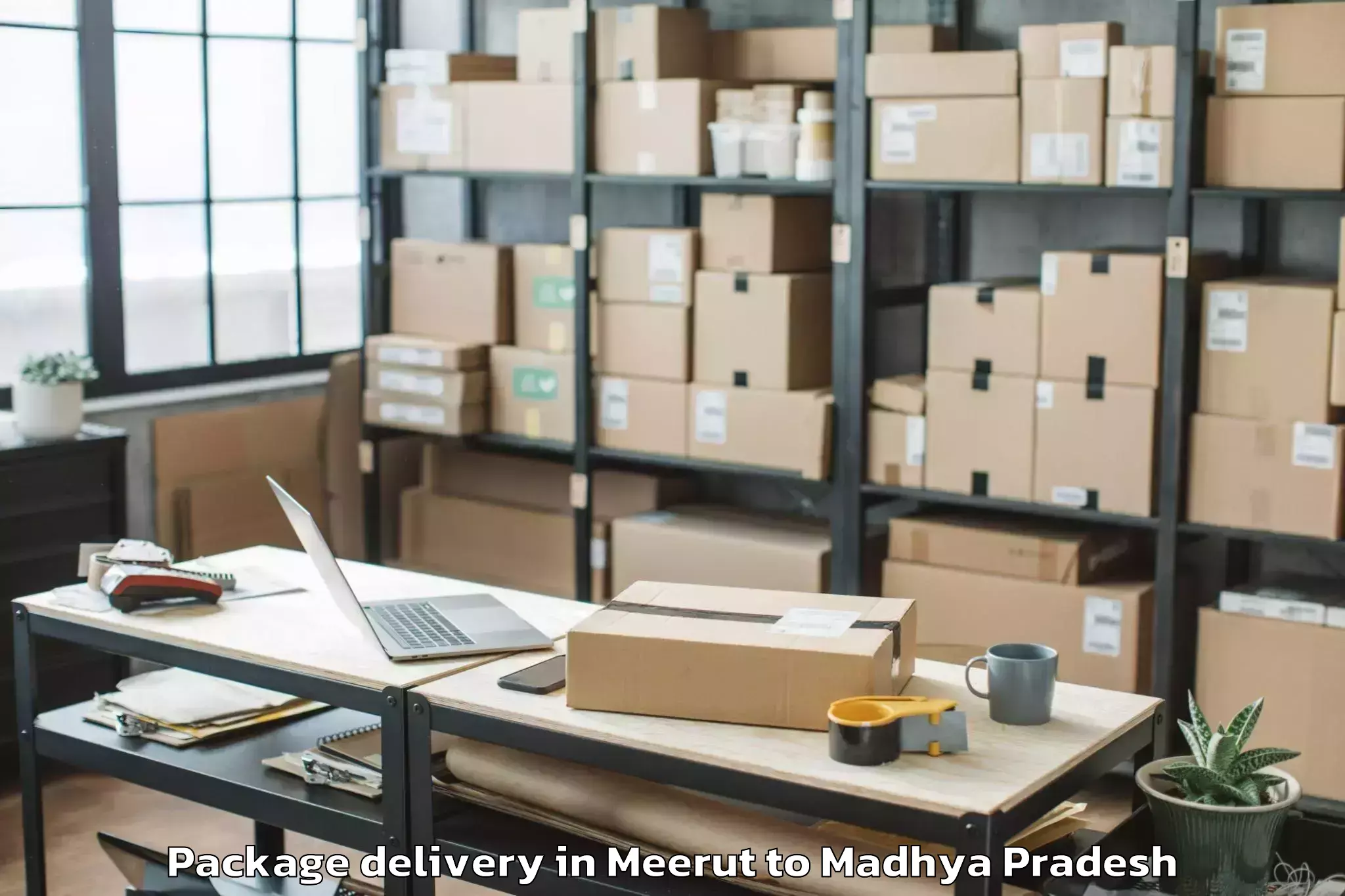 Meerut to Badnawar Package Delivery